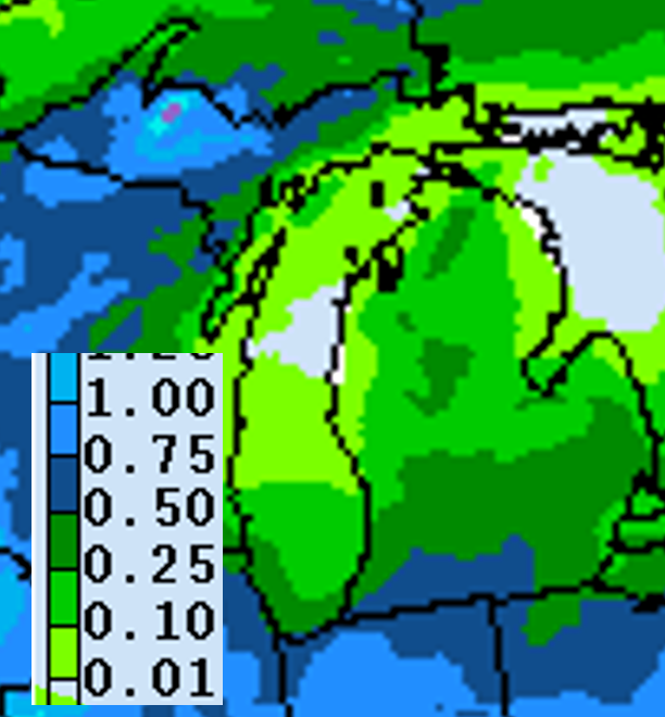 Precipitation forecast for Aug. 18-25.